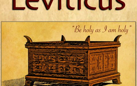 Identity: a Summary of Leviticus